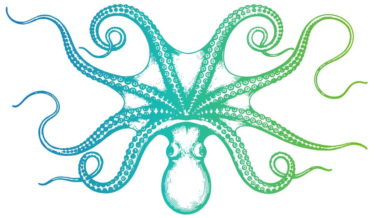 Ink-style illustration of an octopus with curling tentacles.